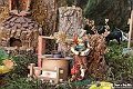 VBS_6978 - Presepe Meccanico di Nonna Rosi 2024
